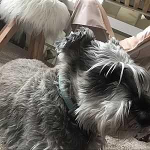 Meet your Posher, Sofia